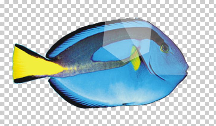 Deep Sea Fish Peces De Mar PNG, Clipart, Animals, Balloon Cartoon, Blue, Blue Background, Boy Cartoon Free PNG Download