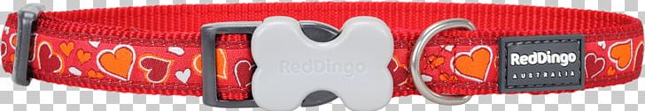 Dog Collar Automotive Tail & Brake Light Dingo PNG, Clipart, Automotive Lighting, Automotive Tail Brake Light, Brand, Collar, Dingo Free PNG Download