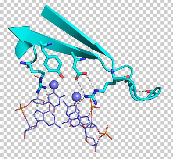 Research Laboratory Epigenetics Methyl-CpG-binding Domain Protein 2 DNA Methylation PNG, Clipart, Angle, Area, Circular Dichroism, Diagram, Dna Free PNG Download