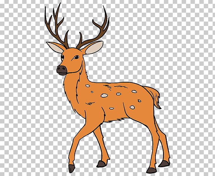 White-tailed Deer Drawing Antler Painting PNG, Clipart, Animal Figure, Animals, Antler, Art, Cartoon Free PNG Download