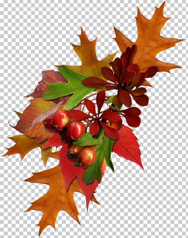 Autumn Painting History Culture .de PNG, Clipart, Autumn, Culture, Email, Flower, Fruit Free PNG Download
