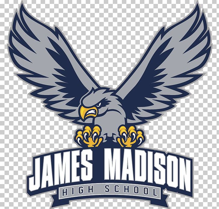 Clairemont High School James Madison High School Hoover High School James Madison University Torrey Pines High School PNG, Clipart, Accipitriformes, Bald Eagle, Beak, Bird, Bird Of Prey Free PNG Download