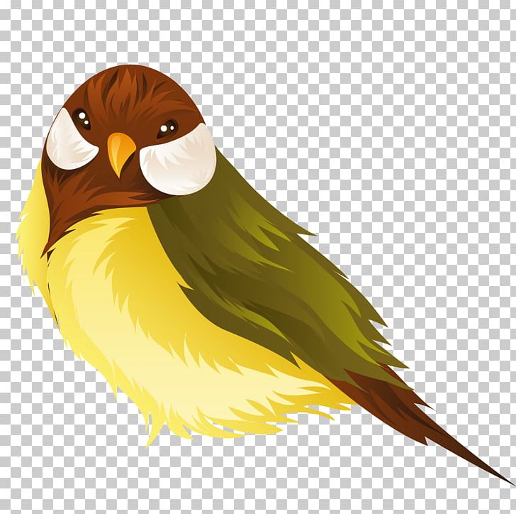 Lovebird Parrot Domestic Canary PNG, Clipart, Animals, Beak, Bird, Bird Cage, Bird Flight Free PNG Download