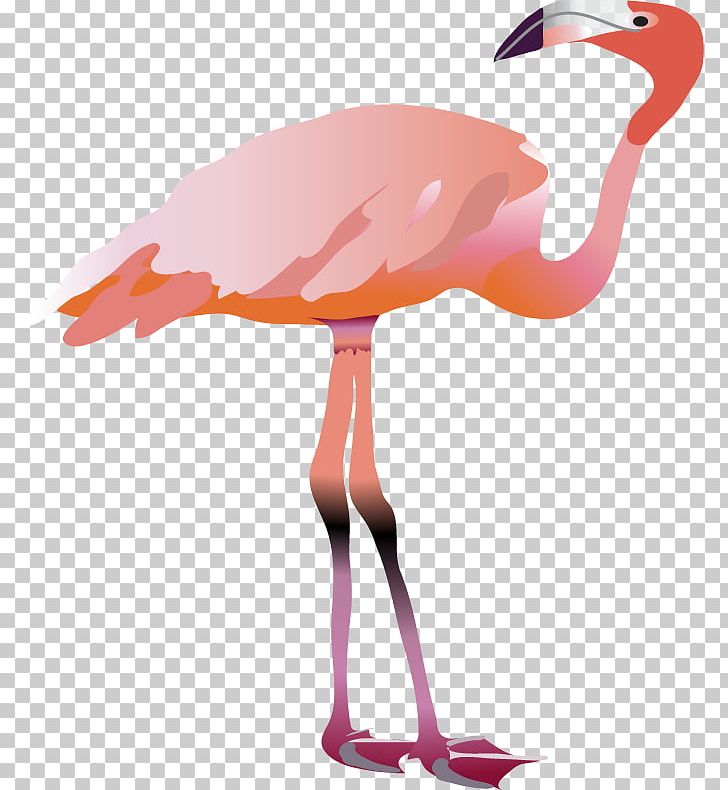Water Bird Beak Flamingo Animal PNG, Clipart, Animal, Animals, Atmosphere, Automated Teller Machine, Beak Free PNG Download