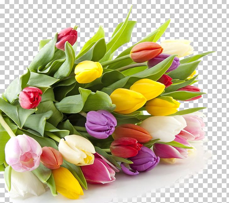 International Women's Day Woman Greeting Holiday Affection PNG, Clipart, Affection, Collective, Cut Flowers, Daytime, Floral Design Free PNG Download