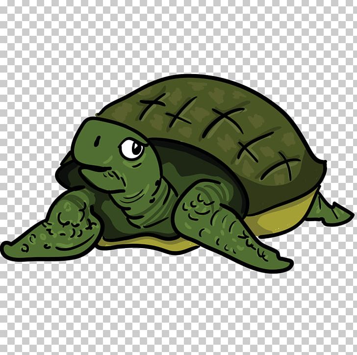 Turtle The Tortoise And The Hare PNG, Clipart, Amphibian, Animals, Blog, Cuteness, Download Free PNG Download