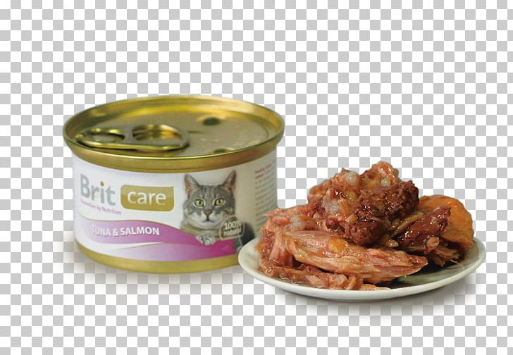 Cat Chicken As Food Thunnus Kitten PNG, Clipart, Animals, Animal Source Foods, Atlantic Bluefin Tuna, Brit, Brit Care Free PNG Download