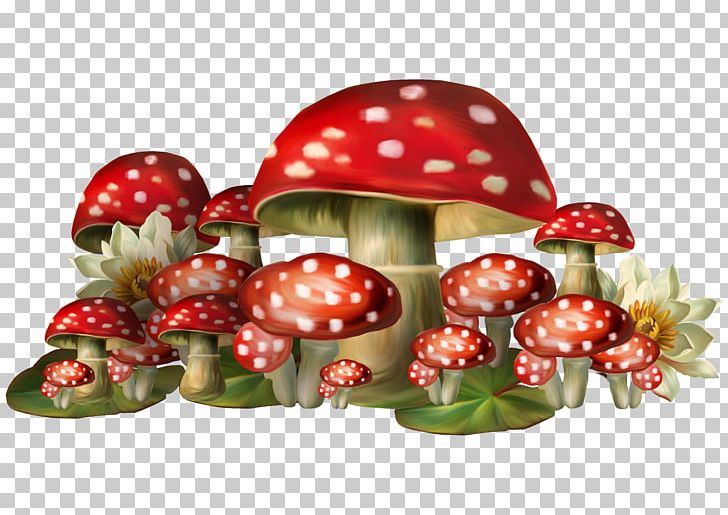 Mushroom Amanita Muscaria PNG, Clipart, Brescia, Cartoon, Cartoon Mushroom, Computer Icons, Download Free PNG Download