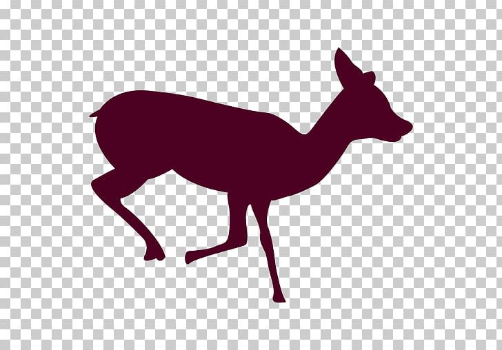 Reindeer Antelope Red Deer Canidae PNG, Clipart, Animal, Animals, Antelope, Antler, Canidae Free PNG Download