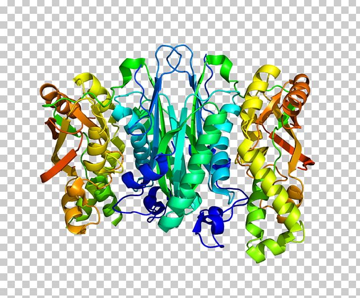 Selenophosphate Synthetase 1 Selenide PNG, Clipart, Adenosine Triphosphate, Art, Cell, Enzyme, Gene Free PNG Download