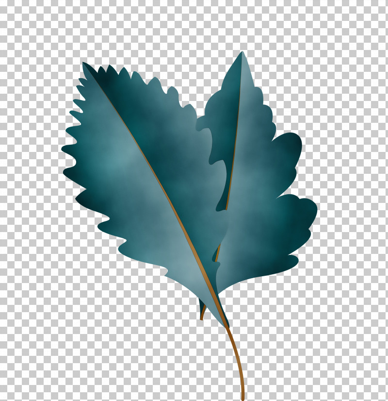 Leaf M-tree Turquoise Tree Science PNG, Clipart, Autumn Leaf, Biology, Cartoon Leaf, Fall Leaf, Leaf Free PNG Download