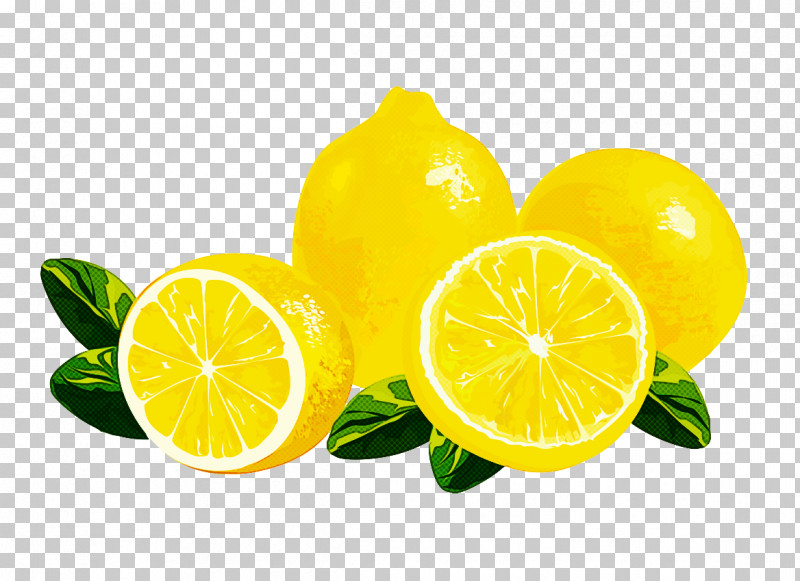 Lemon Citrus Lime Lemon-lime Persian Lime PNG, Clipart, Citric Acid, Citrus, Fruit, Key Lime, Lemon Free PNG Download