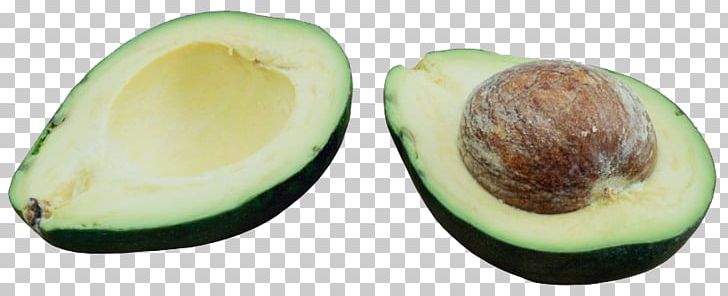 Avocado Pear Euclidean PNG, Clipart, Auglis, Avocado, Avocado Vector, Butter, Camphor Tree Free PNG Download