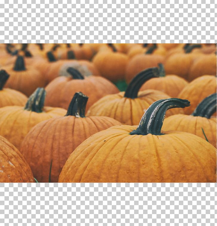 New Hampshire Pumpkin Festival Pumpkin Pie Jack-o'-lantern Cucurbita Maxima PNG, Clipart, Autumn, Calabaza, Carving, Cucurbita, Cucurbita Maxima Free PNG Download