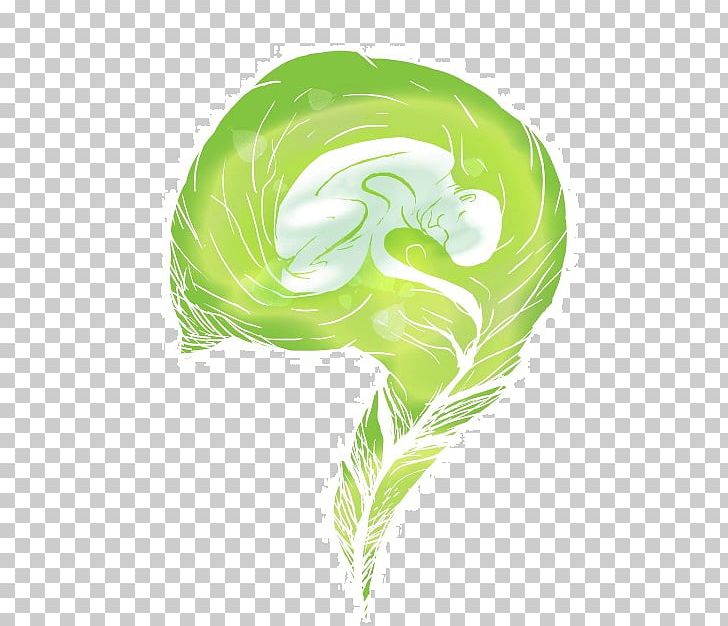 Leaf Green PNG, Clipart, Green, Leaf, Organism, Plant, Tree Free PNG Download