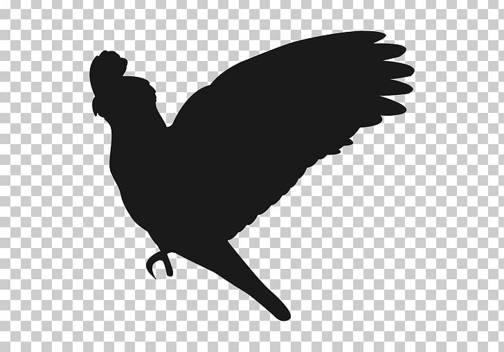 Parrot Silhouette Bird PNG, Clipart, Animals, Beak, Bird, Bird Flight, Bird Silhouette Free PNG Download