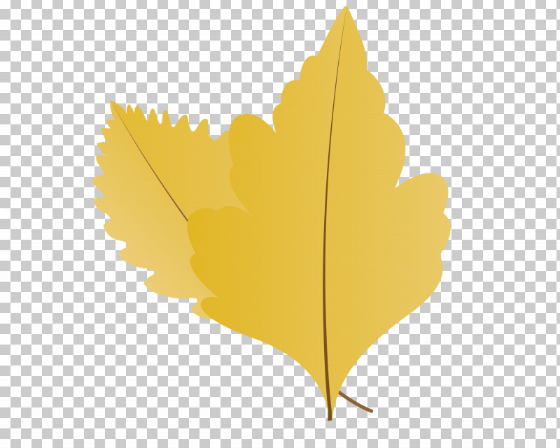 Maple Leaf PNG, Clipart, Autumn Leaf, Biology, Cartoon Leaf, Fall Leaf, Leaf Free PNG Download