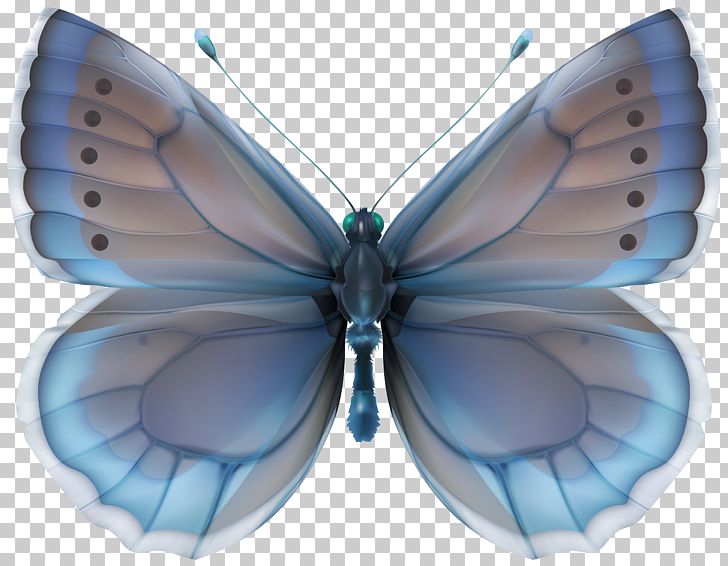 Butterfly Blue PNG, Clipart, Arthropod, Blue, Blue Butterfly, Butterflies, Butterflies And Moths Free PNG Download
