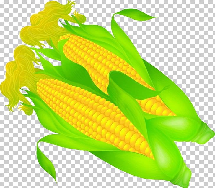 Corn On The Cob Wotou Maize PNG, Clipart, Cartoon, Cartoon Corn, Commodity, Corn, Corn Cartoon Free PNG Download