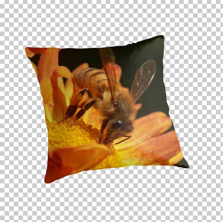 Honey Bee Throw Pillows Cushion PNG, Clipart, Bee, Cushion, Honey, Honey Bee, Insect Free PNG Download