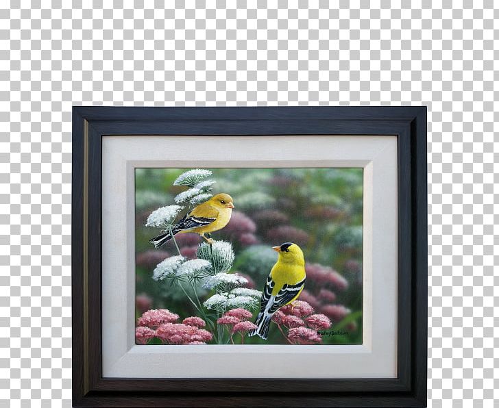 Still Life Flowering Plant Art Frames PNG, Clipart, Art, Arts, Artwork, Bird, Creativity Free PNG Download