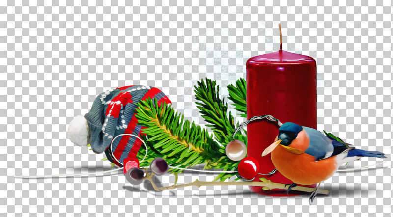 Christmas Ornaments Christmas Decoration Christmas PNG, Clipart, Bird, Branch, Christmas, Christmas Decoration, Christmas Ornament Free PNG Download