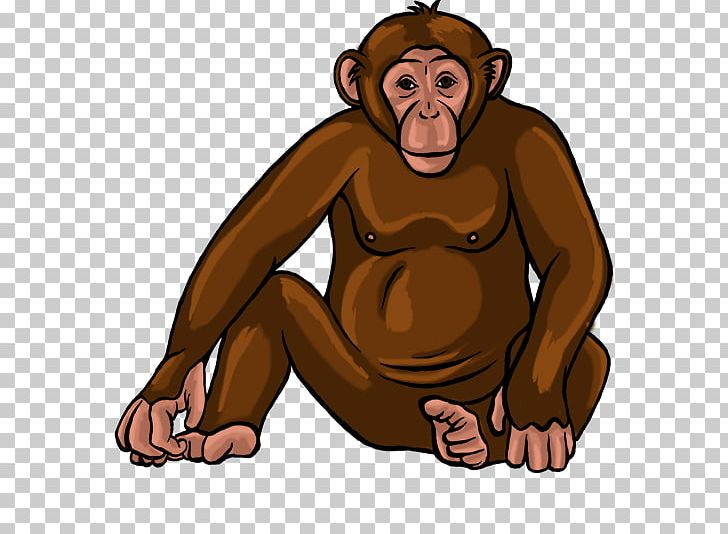 Common Chimpanzee Human Bear Monkey PNG, Clipart, Animals, Arm, Bear, Behavior, Carnivoran Free PNG Download