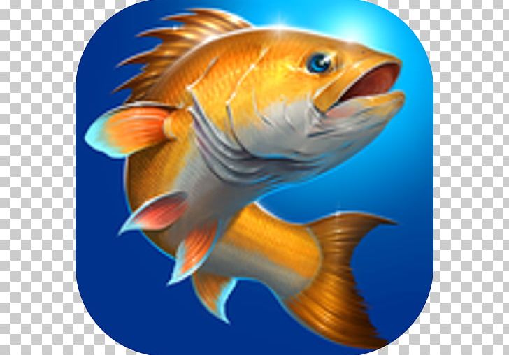 Fishing Hook Carpcraft: Carp Fishing Ace Fishing: Wild Catch Android PNG, Clipart, Android, Coral Reef Fish, Download, Fauna, Fin Free PNG Download
