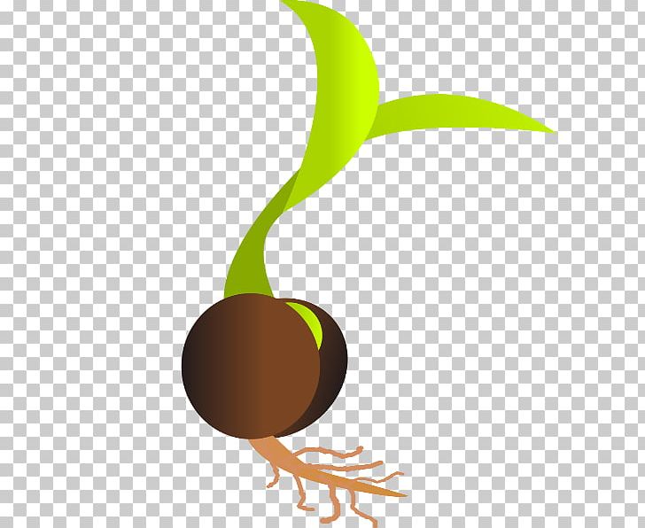 Sprouting Seed Germination PNG, Clipart, Bean, Clip Art, Food, Germination, Leaf Free PNG Download