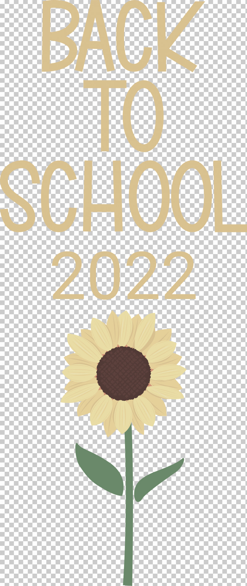 Back To School Back To School 2022 PNG, Clipart, Back To School, Cut Flowers, Daisy Family, Floral Design, Flower Free PNG Download