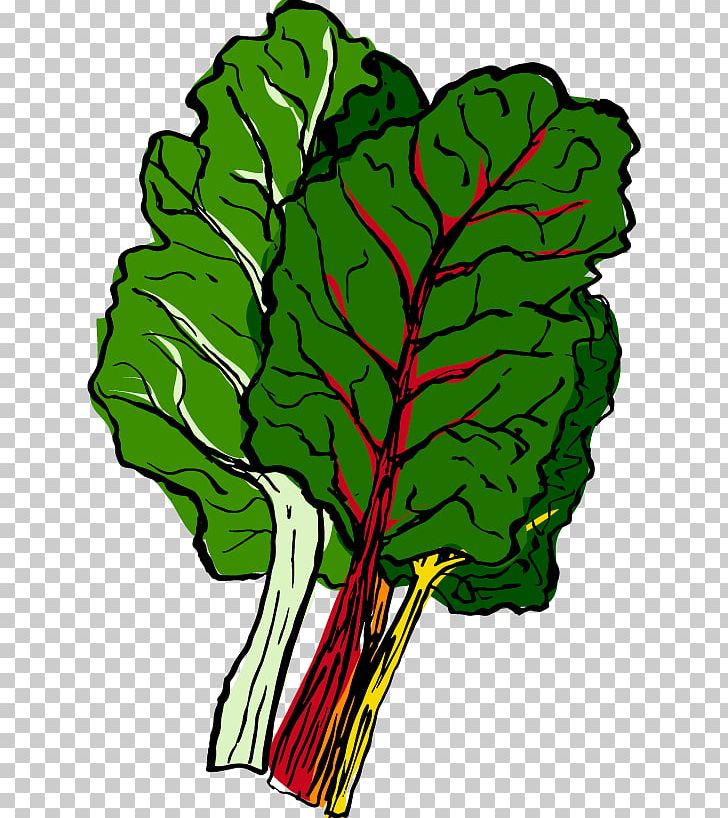 Chard Autumn Spring Food PNG, Clipart, Artwork, Autumn, Chard, Chicory, Coop Free PNG Download