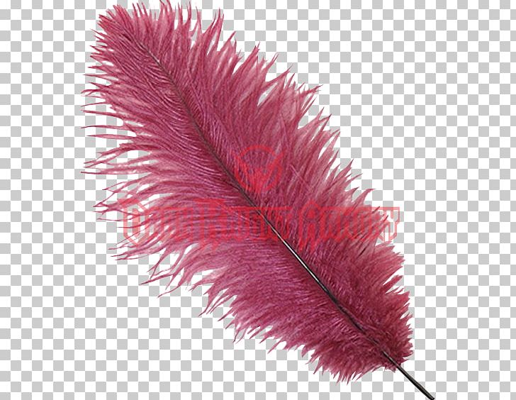 Feather Plume Hat Common Ostrich Headgear PNG, Clipart, Animals, Burgundy, Clothing Accessories, Color, Common Ostrich Free PNG Download