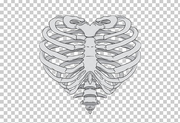 Rib Cage Heart Human Skeleton Anatomy PNG, Clipart, Anatomy, Axial Skeleton, Black And White, Bone, Drawing Free PNG Download