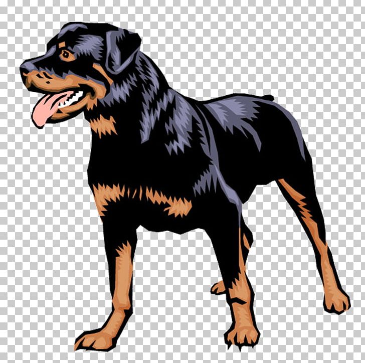 Rottweiler German Pinscher Puppy Dobermann PNG, Clipart, Animals, Carnivoran, Curtain, Dobermann, Dog Free PNG Download