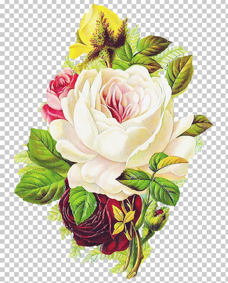 Vintage Clothing Centifolia Roses Flower PNG, Clipart, Antique, Artificial Flower, Centifolia Roses, Cut Flowers, Floral Design Free PNG Download