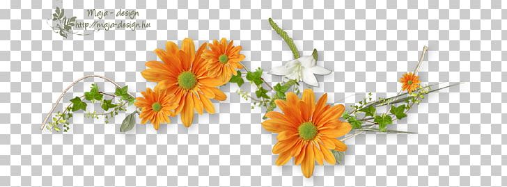 Flower Orange Color PNG, Clipart, 2017, Artificial Flower, Color, Daisy Family, Floral Design Free PNG Download