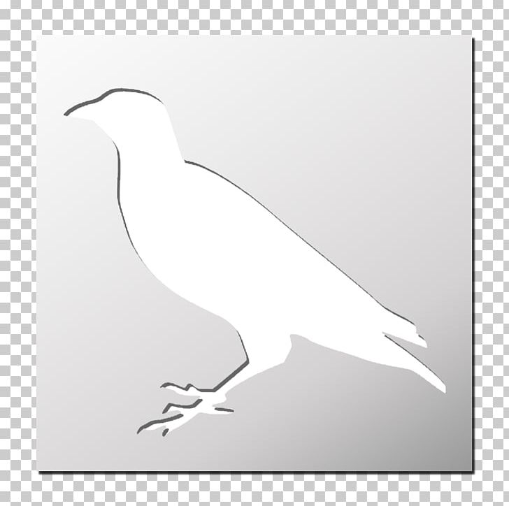Bird Of Prey Stencil Silhouette FRENCHIMMO PNG, Clipart, Animal, Animals, Beak, Bird, Bird Of Prey Free PNG Download