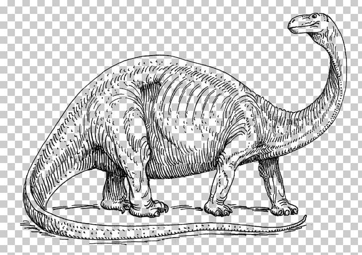 Brontosaurus Apatosaurus Coloring Book Stegosaurus Child PNG, Clipart, Animal, Apatosaurus, Black And White, Brontosaurus, Carnivora Free PNG Download