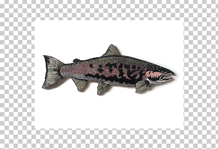 Coho Salmon Trout Salmon Run Fish PNG, Clipart, Annette, Bony Fish, Campbell S, Campbell Soup Company, Coho Salmon Free PNG Download