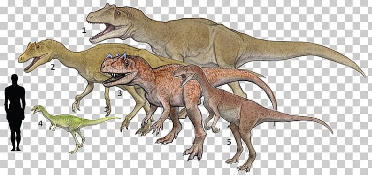 Deltadromeus Bahariasaurus Elaphrosaurus Ceratosaurus Tyrannosaurus PNG, Clipart, Animal, Animal Figure, Bahariasaurus, Carnivoran, Ceratosaurus Free PNG Download