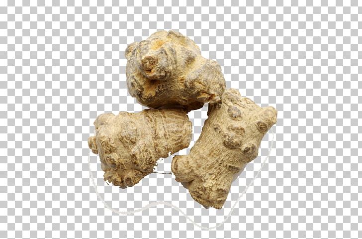 Panax Notoginseng Panax Pseudoginseng Extract Herb Saponin PNG, Clipart, Bark, Care, Chinese, Chinese Herbal Medicine, Herbal Free PNG Download