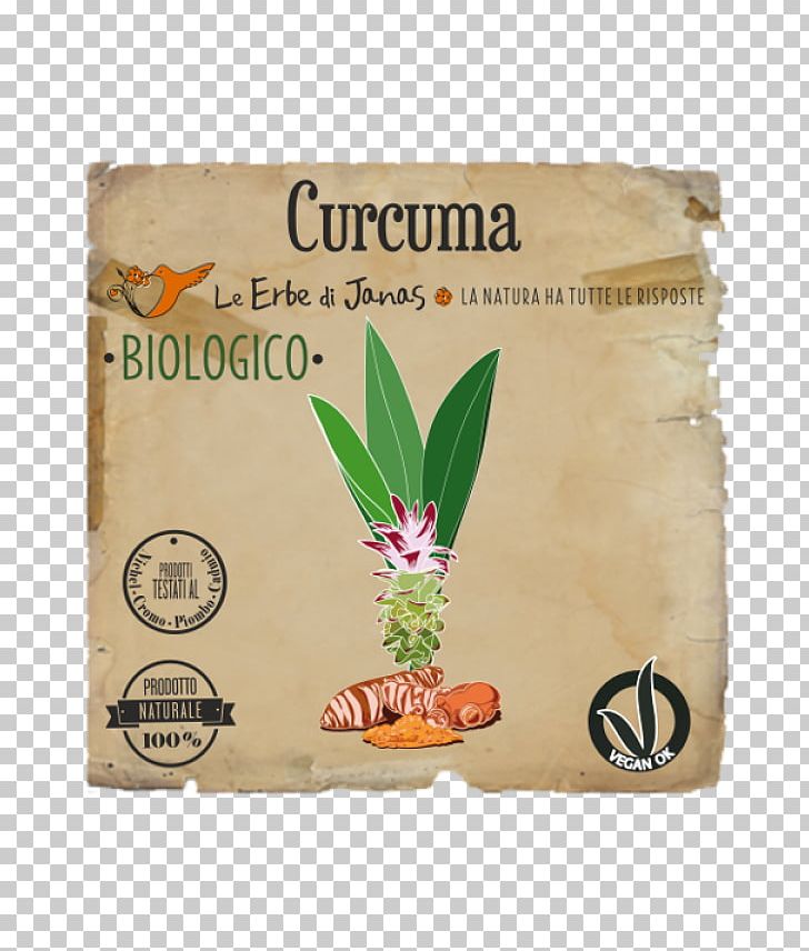 Turmeric Henna Herb Cosmetics Vegetable Oil PNG, Clipart, Capelli, Common Sage, Cosmetics, Curcuma, Flavor Free PNG Download