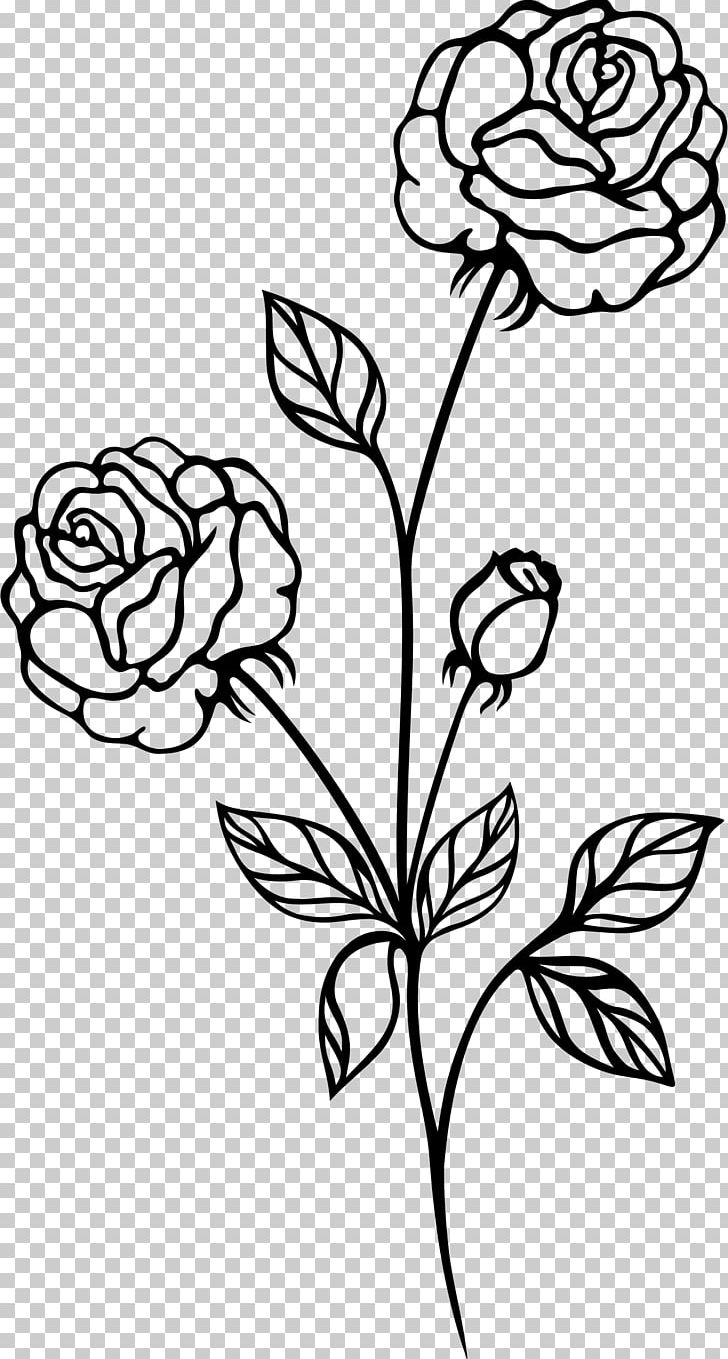 Black Rose Black And White PNG, Clipart, Art, Artwork, Black, Black Rose, Branch Free PNG Download