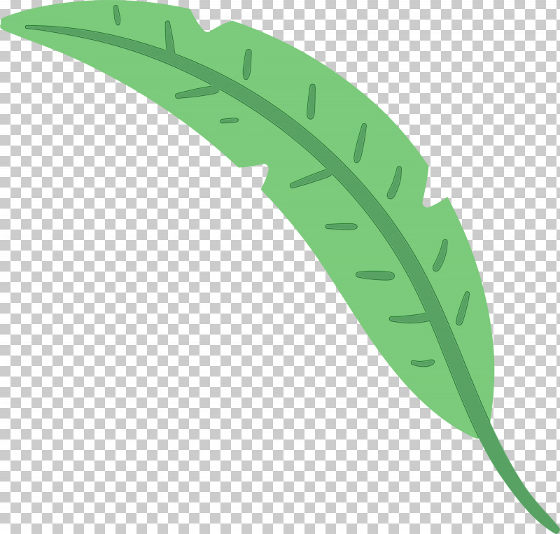 Leaf Plant Stem Green M-tree Font PNG, Clipart, Green, Leaf, Line, Meter, Mtree Free PNG Download
