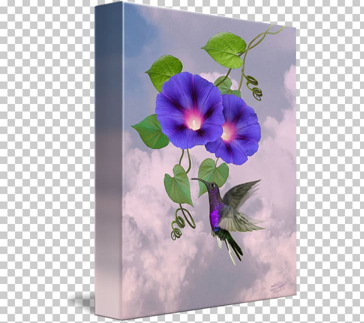Floral Design Petal Flower PNG, Clipart, Flora, Floral Design, Flower, Flowering Plant, Morning Glory Free PNG Download