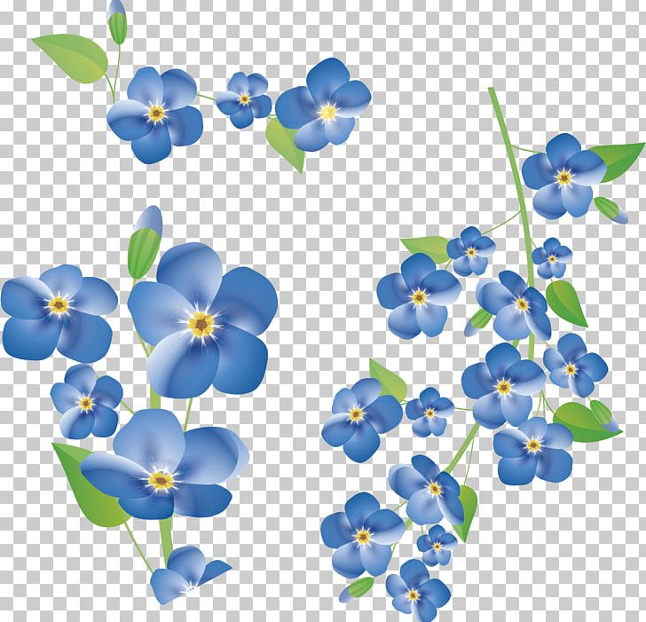 Flower PNG, Clipart, Blue, Borage Family, Clip Art, Digital Image, Display Resolution Free PNG Download
