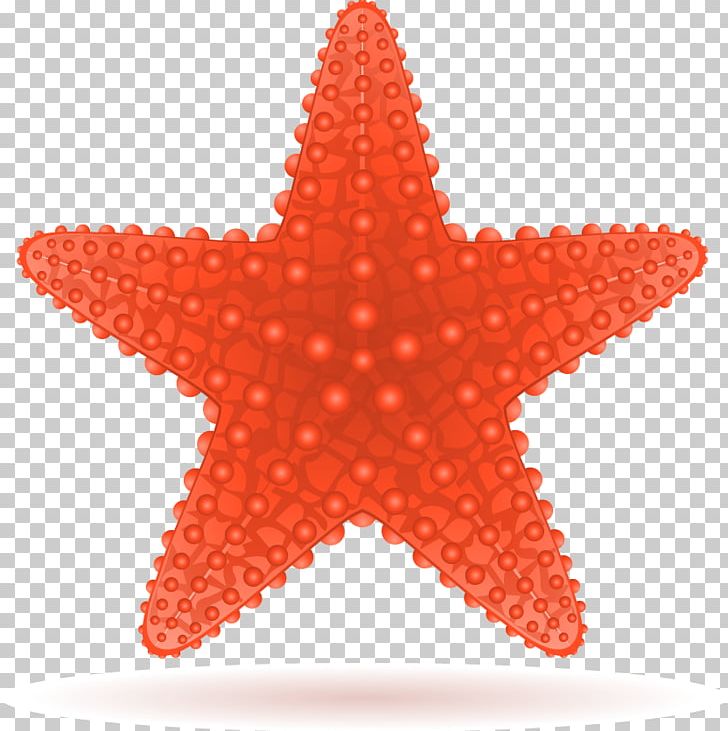 Starfish PNG, Clipart, Animals, Beautiful Starfish, Cartoon, Cartoon Starfish, Common Starfish Free PNG Download