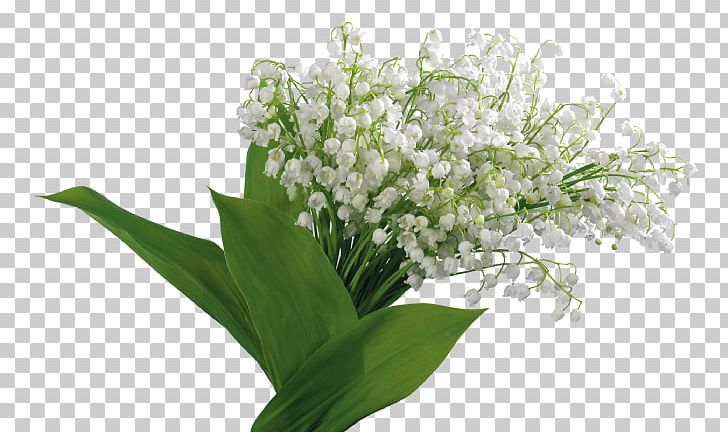 Цветы Landishi Lily Of The Valley Photography PNG, Clipart, Bouquet, Cut Flowers, Desktop Wallpaper, Floral Design, Flower Free PNG Download