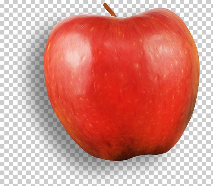 Apple Fruit Red Food PNG, Clipart, Accessory Fruit, Apple, Apple Fruit, Apple Logo, Apple Tree Free PNG Download