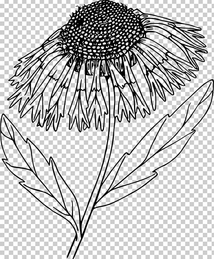Flower Line Art Blanket Drawing PNG, Clipart, Artwork, Black, Black And White, Blanket, Blanket Flowers Free PNG Download